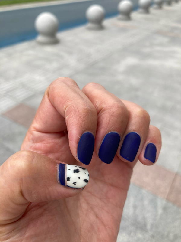 秋ネイル マット仕上げのネイビー 豹柄 桃的美しき日々 海の近くに引っ越しました