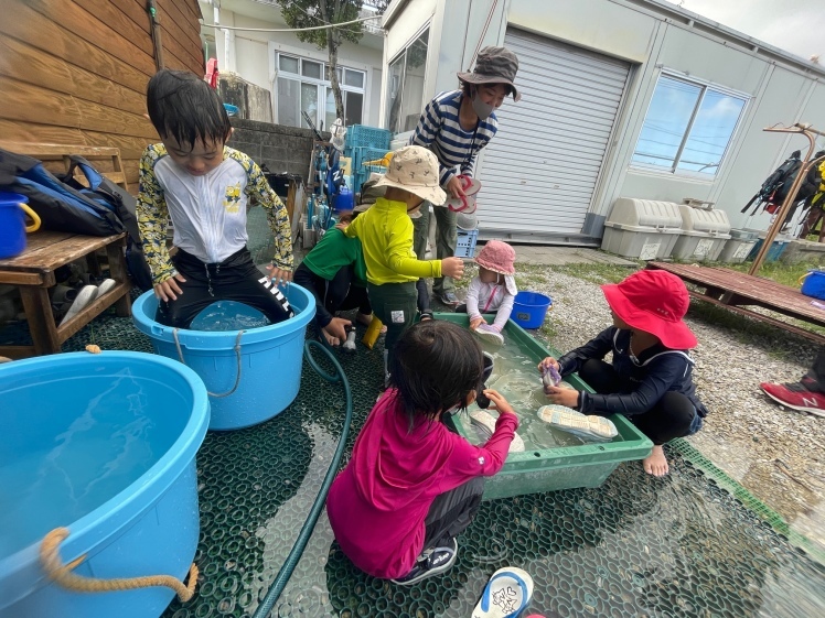 青空ようちえん〔平日〕9/29・2歳から参加できるネコわくデビューの海辺遊び。木の実を集めつつ海岸まで親子で探検です。_d0363878_17385120.jpg