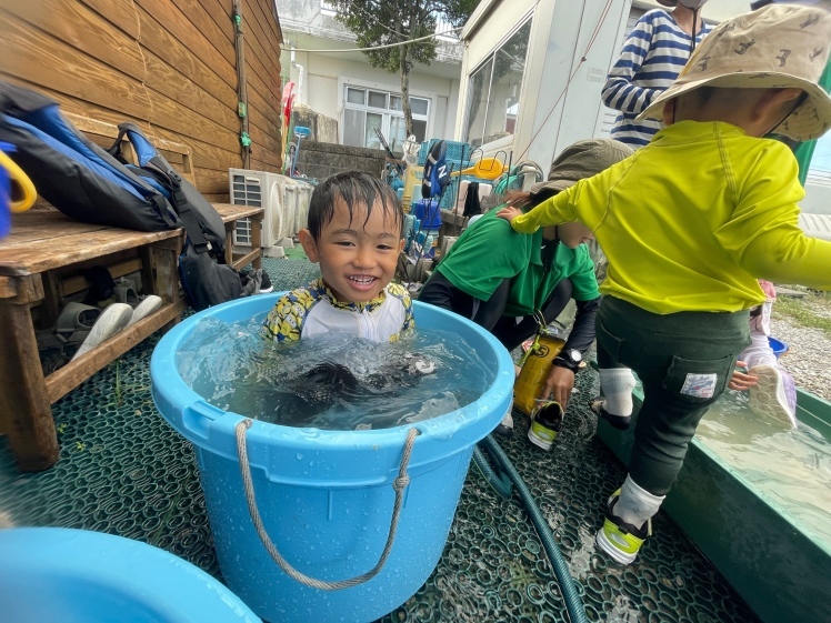 青空ようちえん〔平日〕9/29・2歳から参加できるネコわくデビューの海辺遊び。木の実を集めつつ海岸まで親子で探検です。_d0363878_17385171.jpg