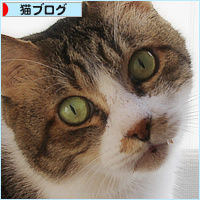 でかおの夕暮れ_a0389088_16590681.jpg