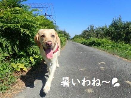 ねぇやんのカレンダー2022_c0182012_14373622.jpg