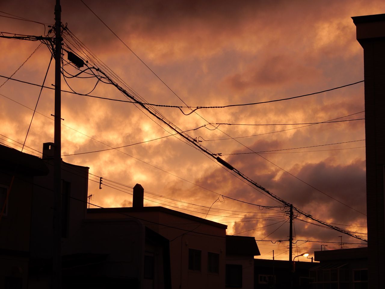 雨のち夕焼け_c0025115_21515315.jpg