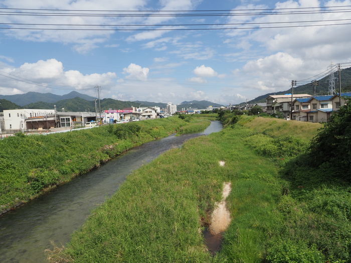 八幡川沿い散歩_c0116915_00552133.jpg