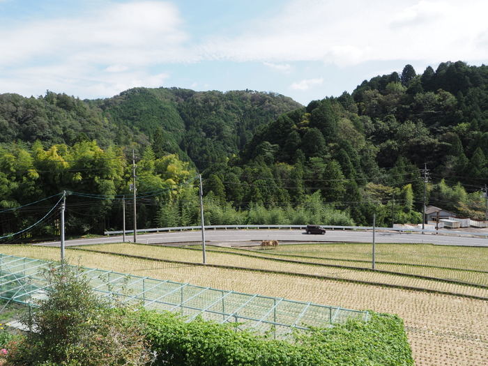 晴れのち曇り、時に晴れ_c0116915_23465174.jpg
