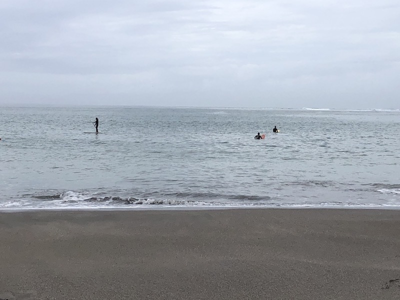 逗子_b0074416_18590256.jpeg