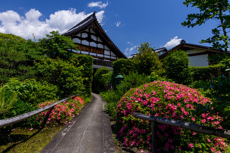 サツキと初夏の花咲く天寧寺_f0155048_23170911.jpg