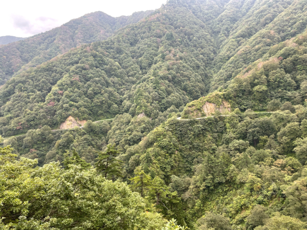 【チャリ旅47第三弾15:福井→根尾 96キロ】生きてます!生きてます!感謝しかない! 2021.9.25_b0002156_11442570.jpg
