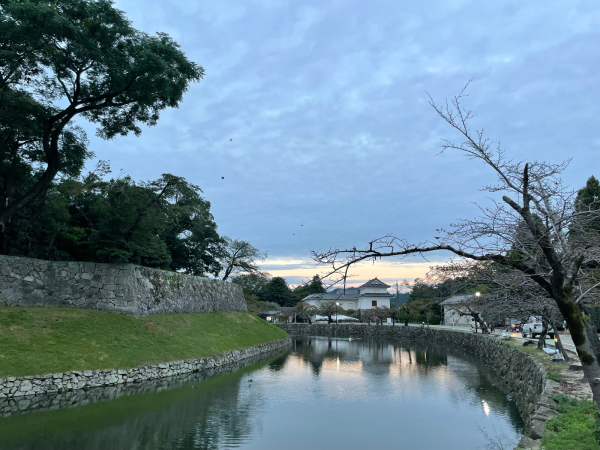 【チャリ旅47第三弾18:名古屋→彦根 83キロ】チャリ旅は心に記憶が残ります 2021.9.28_b0002156_11490684.jpg