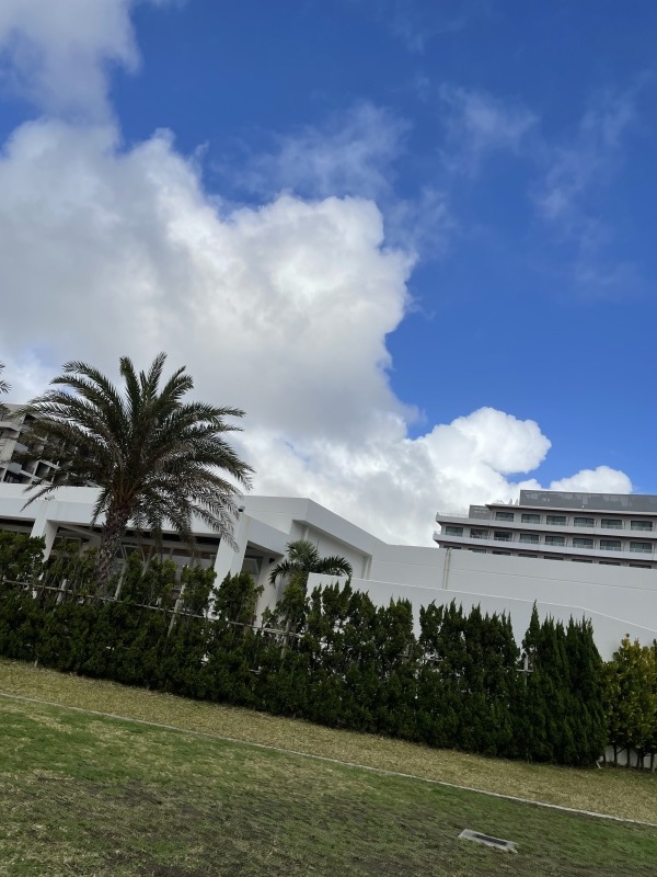 2021年夏の空まとめ_a0014067_17245336.jpg