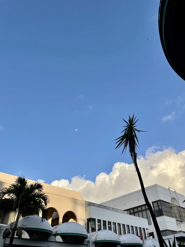 2021年夏の空まとめ_a0014067_17271896.jpg