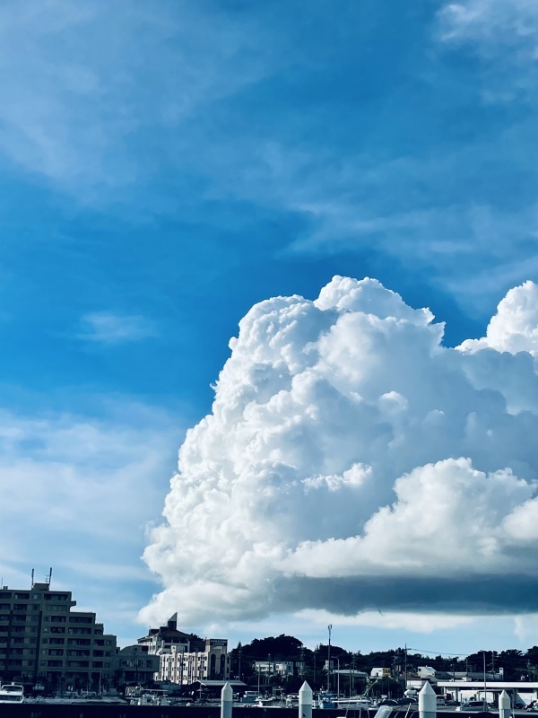 2021年夏の空まとめ_a0014067_17384987.jpg