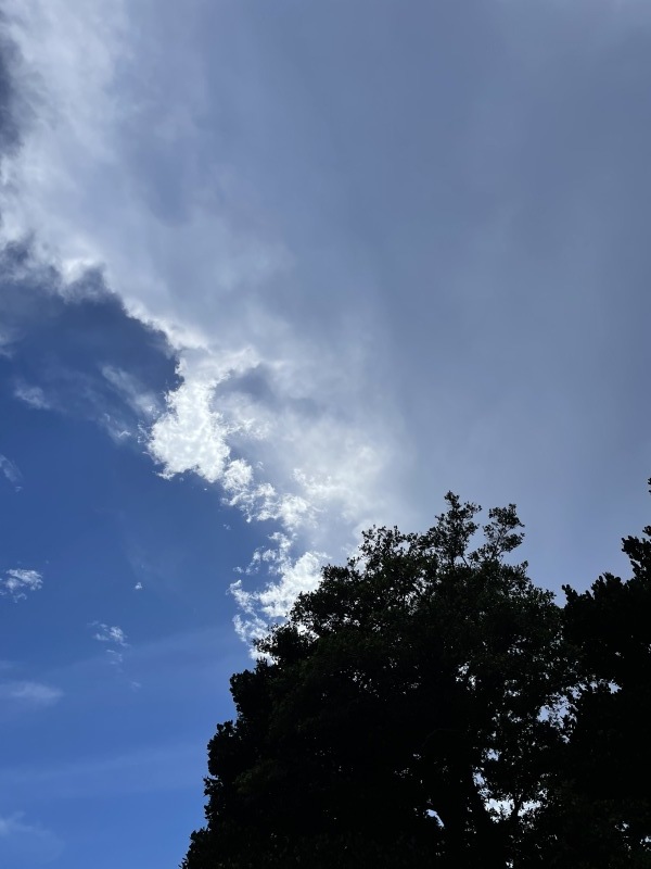 2021年夏の空まとめ_a0014067_17451889.jpg