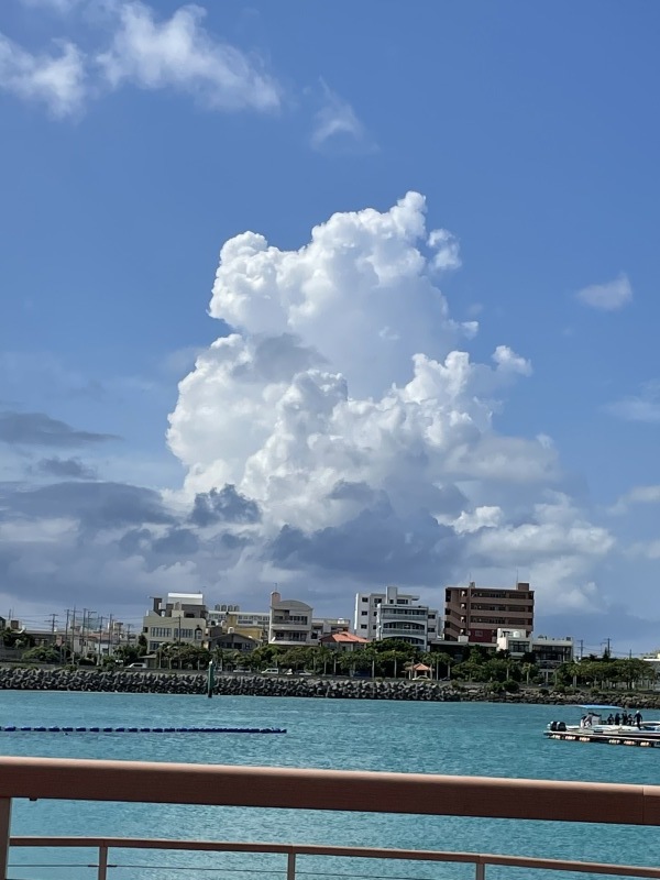 2021年夏の空まとめ_a0014067_17462301.jpg
