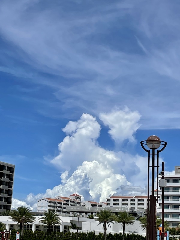 2021年夏の空まとめ_a0014067_17470679.jpg