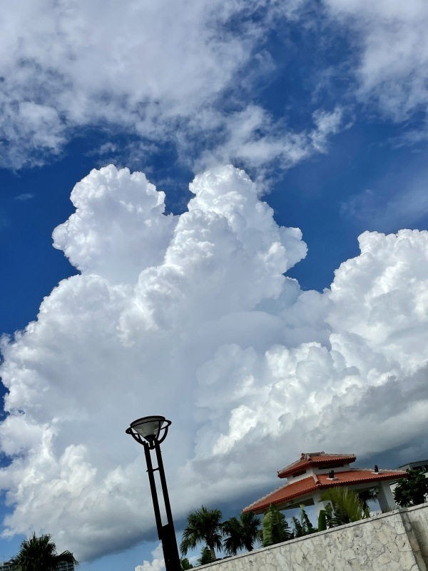 2021年夏の空まとめ_a0014067_17570625.jpg
