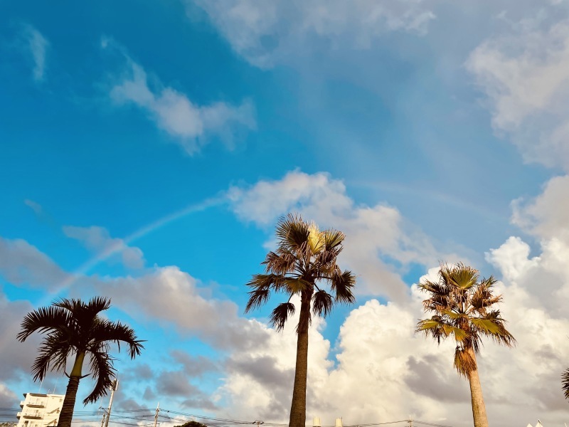 2021年夏の空まとめ_a0014067_18021267.jpg
