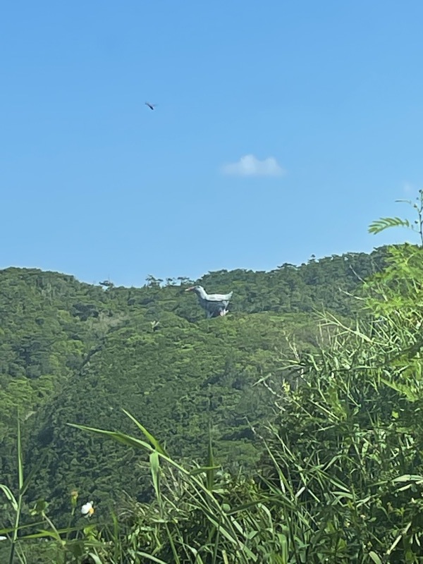 2021年夏の空まとめ_a0014067_18053996.jpg
