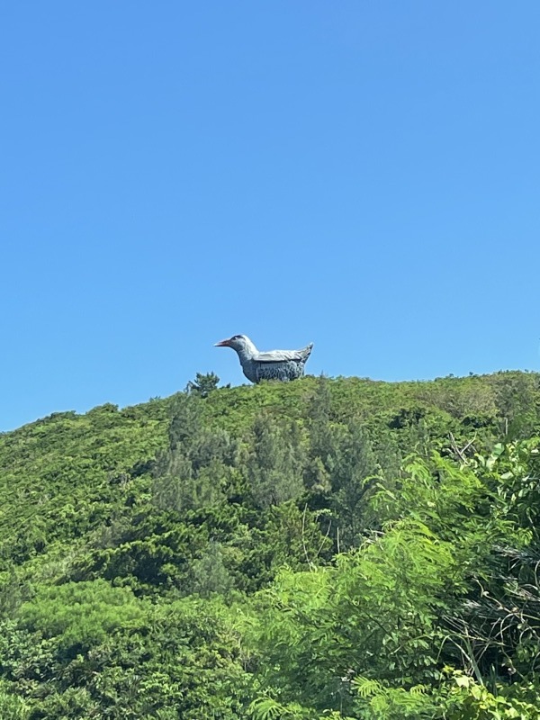 2021年夏の空まとめ_a0014067_18060611.jpg