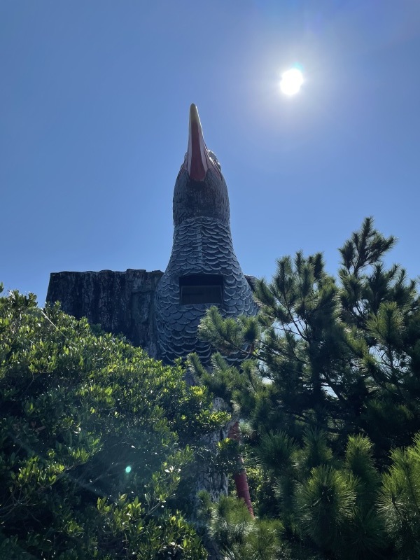 2021年夏の空まとめ_a0014067_18064147.jpg