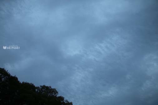 9月30日_c0140599_17491920.jpg