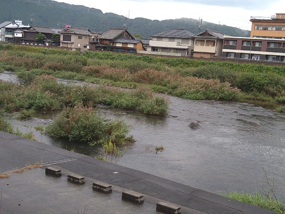 10月1日名張川河川情報..._c0266737_07073173.jpg