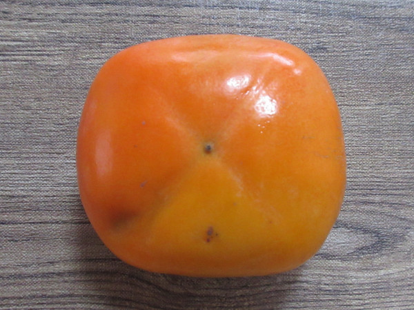 平種柿(和歌山県産)_c0152767_20080540.jpg