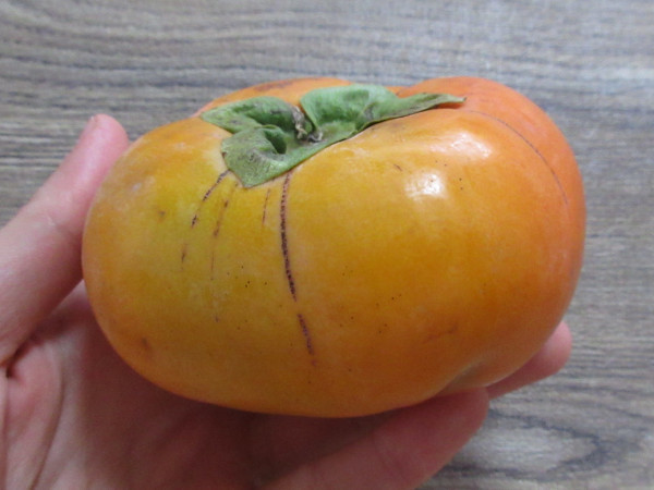 平種柿（和歌山県産）_c0152767_20085064.jpg