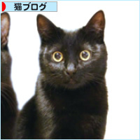 生きたい彼 死にたい私_a0389088_14514106.jpg