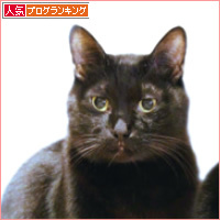 生きたい彼 死にたい私_a0389088_14514160.jpg