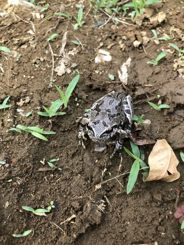 晴れの日_a0129492_16403225.jpeg