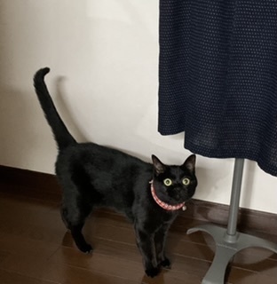 ワンピース３_e0358096_20330905.jpeg