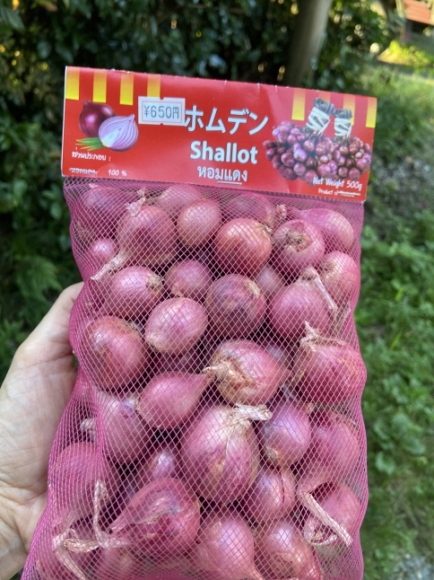 シャロット(Shallotホムデン)料理用お得5kg約 - 通販 - olgapuri.org