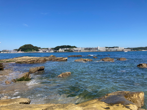 台風一過で晴天の今日_d0386809_16273747.jpg