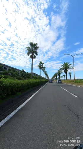 台風一過で晴天の今日_d0386809_16534883.jpg