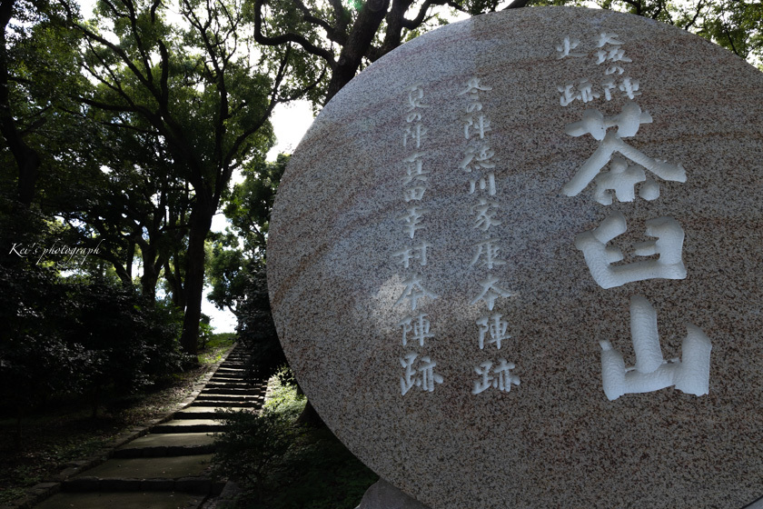 茶臼山_c0235725_06315025.jpg