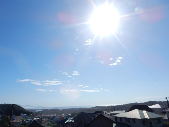 ’21,9,2(土)台風一過とこの人は誰?_f0060461_09223669.jpg