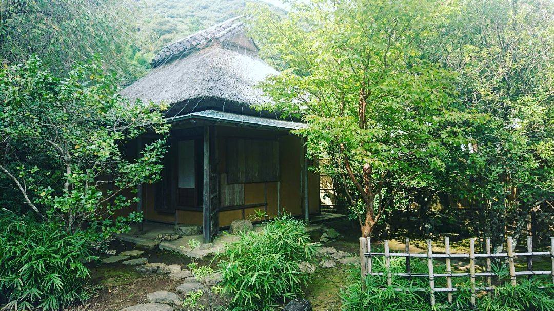 佐伯　汲心亭のお抹茶_d0230676_15323161.jpg