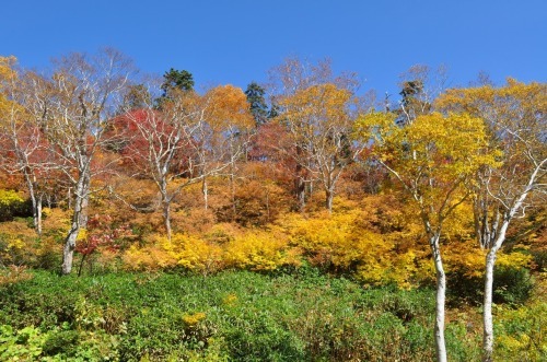 秋の大雪高原温泉、ゆったり沼めぐり_d0198793_01133881.jpeg