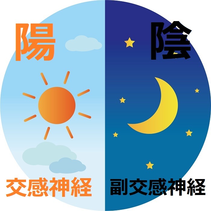 温活 ~体温をあげよう~ コロナ対策③_e0246398_19381790.jpg