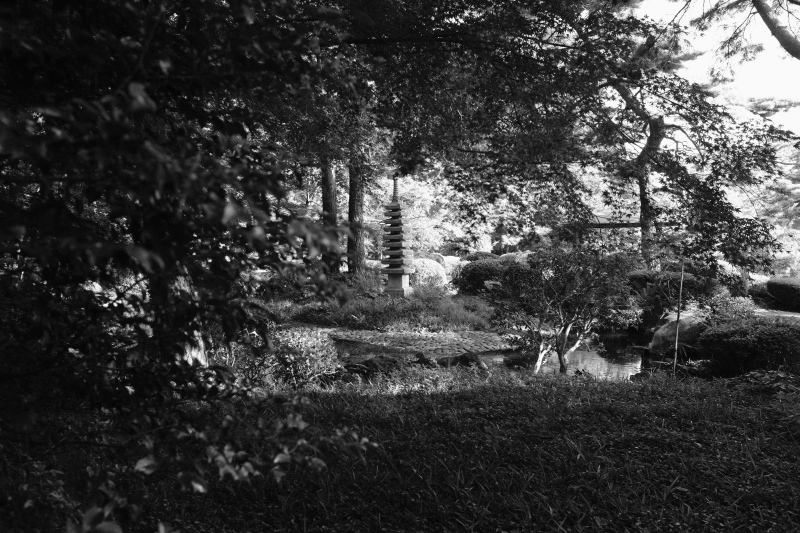 X100Fと散歩。_c0217406_15532514.jpg