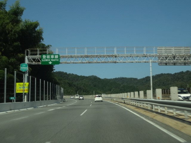 亀岡 少しだけコスモス♪_a0394046_21595795.jpg