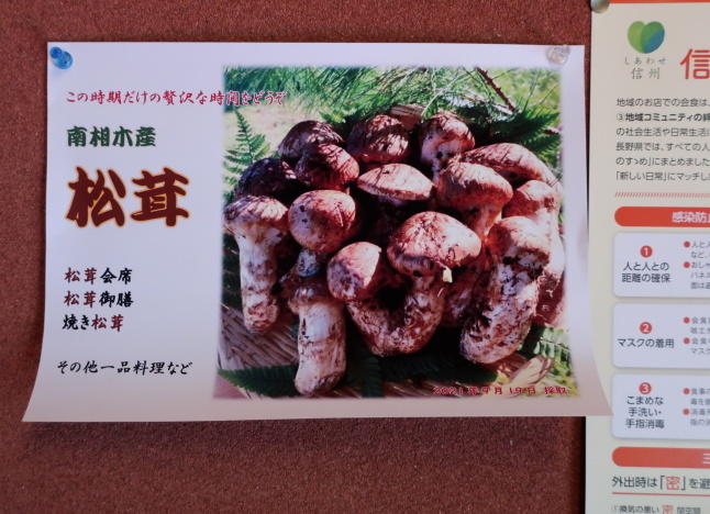 信州蕎麦・和食 十一屋本店 ＊ 地元産天然松茸をお手頃にいただく