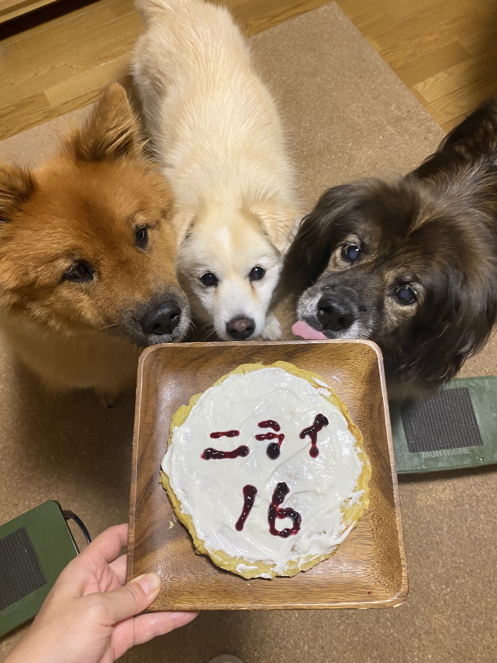 ♪Happy Birthday NIRAI ♪_a0119263_14151231.jpeg