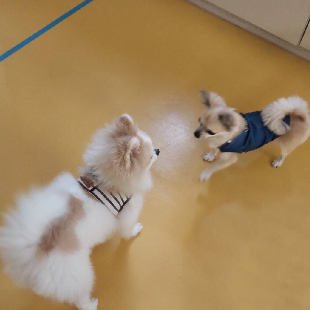 癒し💕_f0357682_12274241.jpg