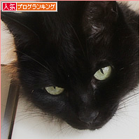 困った兄弟_a0389088_17095005.jpg