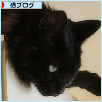 困った兄弟_a0389088_17095006.jpg