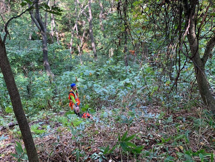 10月2日(土)髙川山林 作業道づくり・笹刈り_c0173813_09273052.jpg