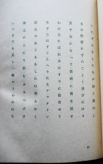 句集 火門集 阿部青鞋全句集第一回配本 並製120部 初版カバ 書肆