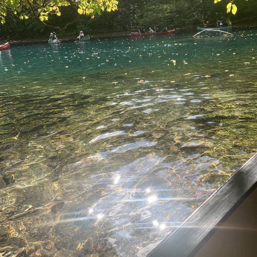 10月はリラックスしていきましょう パンが食べたい_a0134394_05483224.jpeg