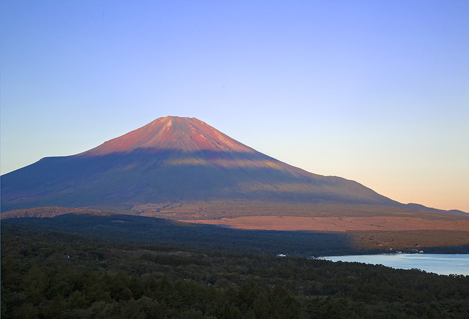 令和３年10月２日～３日の写真から_b0355457_03545731.jpg